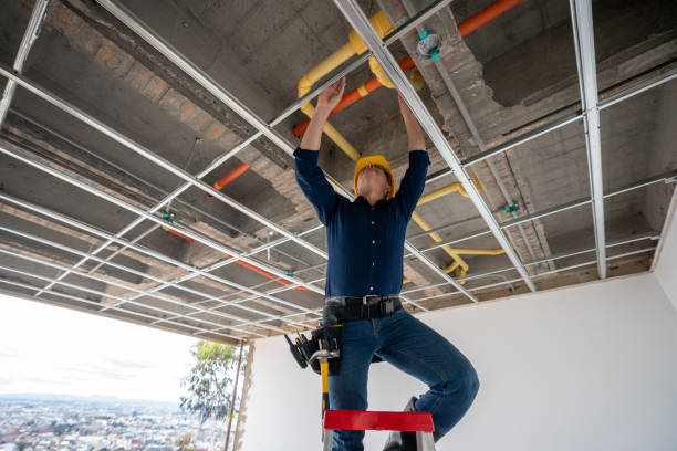 Best Commercial Plumbing Services  in Princeton, TX
