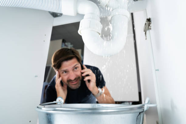 Best Residential Plumbing Services  in Princeton, TX